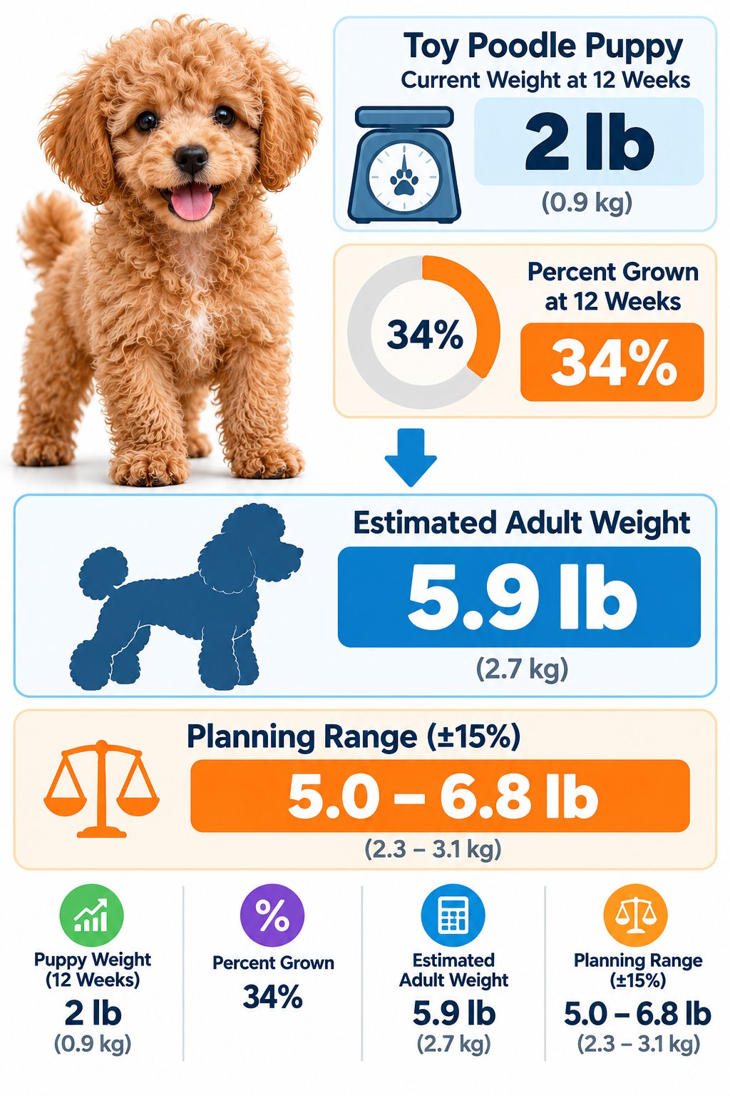 Worked example: 2 lb Toy Poodle at 12 weeks with 5.9 lb adult estimate