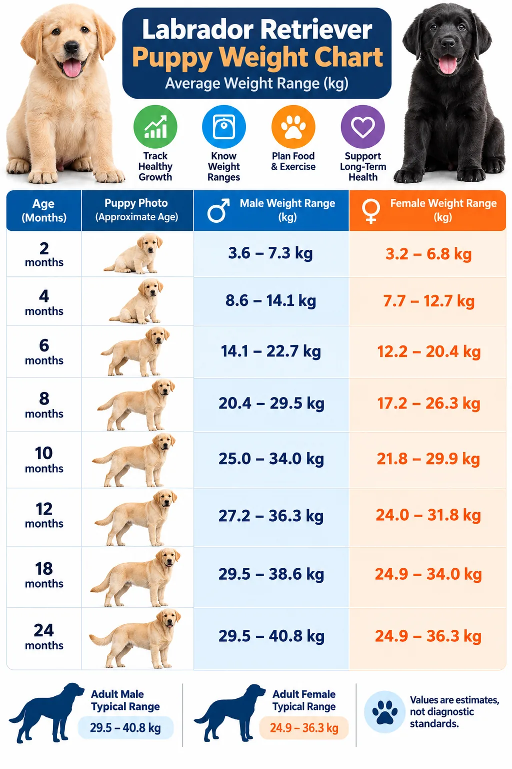 Labrador puppy weight chart in kg showing male and female ranges by age